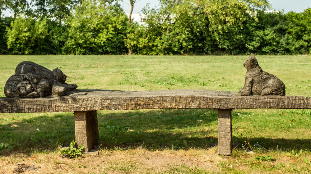 Eine Bank steht auf dem Rasen und im Hintergrund sind Büsche