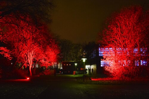 Bäume in der Dunkelheit werden rot angestrahlt. Im Hintergrund eine Sporthalle