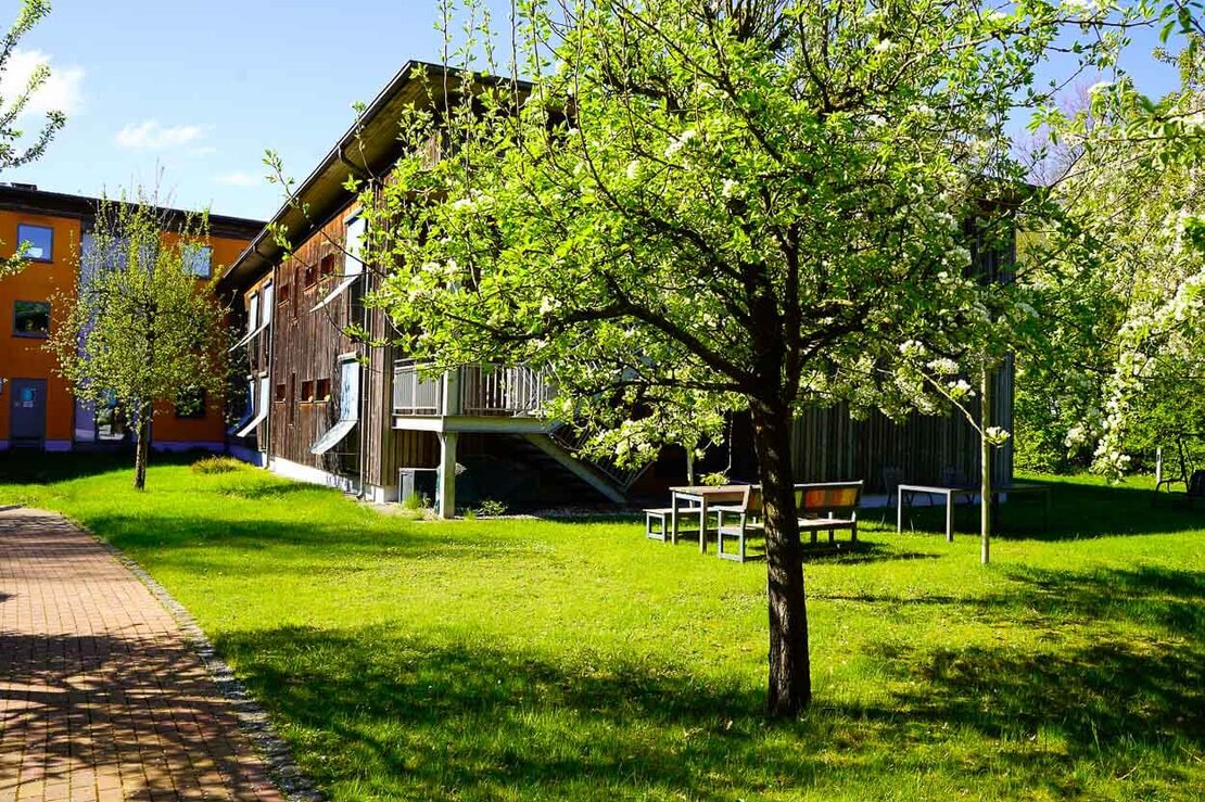 Ein Baum, eine Rasenfläche und ein Spazierweg am Haus an der Trebel
