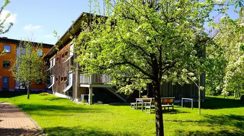 Ein Baum, eine Rasenfläche und ein Spazierweg am Haus an der Trebel