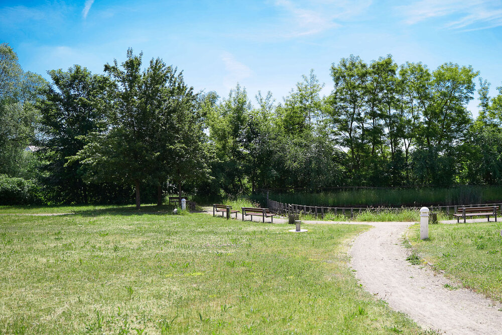 Ein Weg führt durch eine Rasenfläche zum Teich