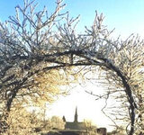 Woher kommen wir - wohin gehen wir ?