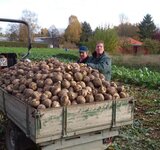 Wintergemüse und Supersäfte