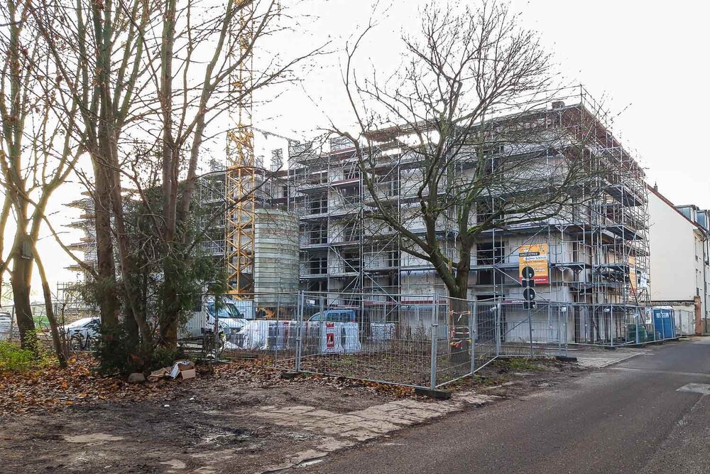 Die Baustelle mit Kran und Gerüst hinter Bäumen