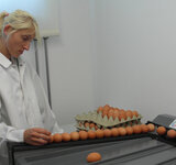 Ostseeländer Biobauernhof – Eierpackstelle