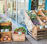 Frische Waren vor dem Pommerngrün