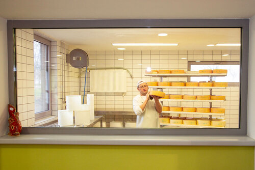 Fenster der Schaukäserei Züssow im Rasthof Ostseeländer. Hinter der Scheibe Blick in die Käseproduktion mit Regal, Käseharve und Laiben