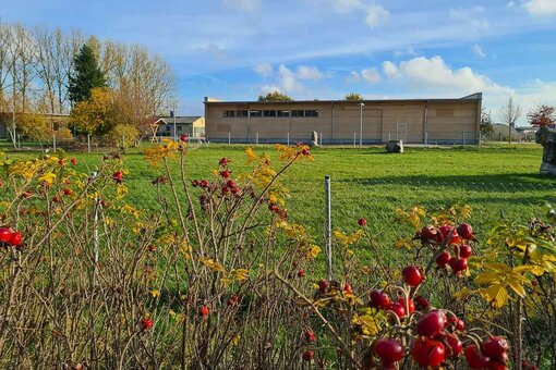 Auf einem grünen Gelände steht eine große Halle aus Holz