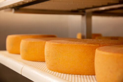 Vier Käselaibe liegen nebeneinander auf einem Regal