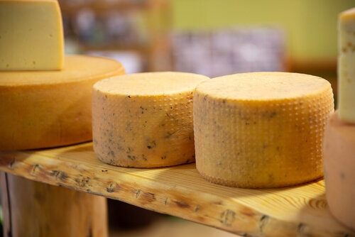 Runde Käselaibe liegen auf einem Holzregalbrett