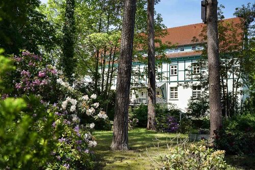 Ein sonnendurchfluteter Park mit Bäumen und blühenden Büschen vor dem Haus Meeresblick