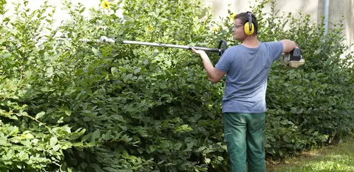 Ein Mitarbeiter mit Gehörschutz schneidet mit einer langen Heckenschere eine Hecke