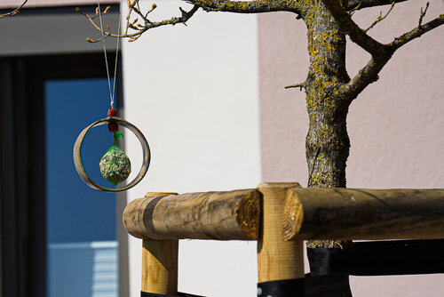 Eine Kugel mit Vogelnahrung hängt an einem Baum