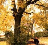 Dies ist ein Herbsttag . . .