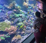 Aquarium im Rostocker Zoo