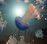 Bildungsfahrt des Atelier PIX zum DARWINEUM Rostock