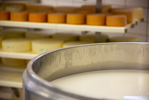 Ein großer Behälter mit Milch steht vor einem Wagen, in dem Käselaibe lagern