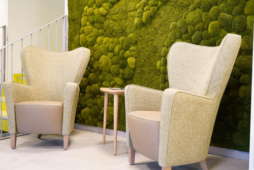Zwei Sessel stehen vor einer Wand, die mit Moos bedeckt ist
