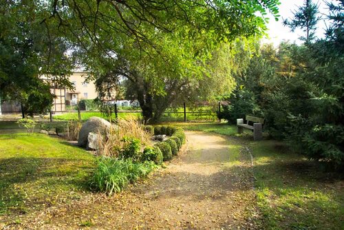 Ein Weg Parkweg mit Bäumen, Büschen, einer Rasenfläche und einer Bank