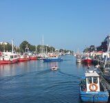 Sonne, Salzhaff, Seehunde - Einmal Rerik und zurück